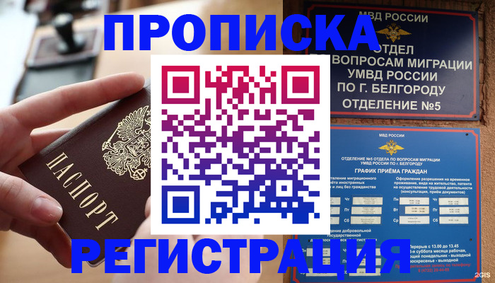временная регистрация недорого в Элисте